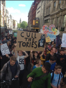 Cull the Tories